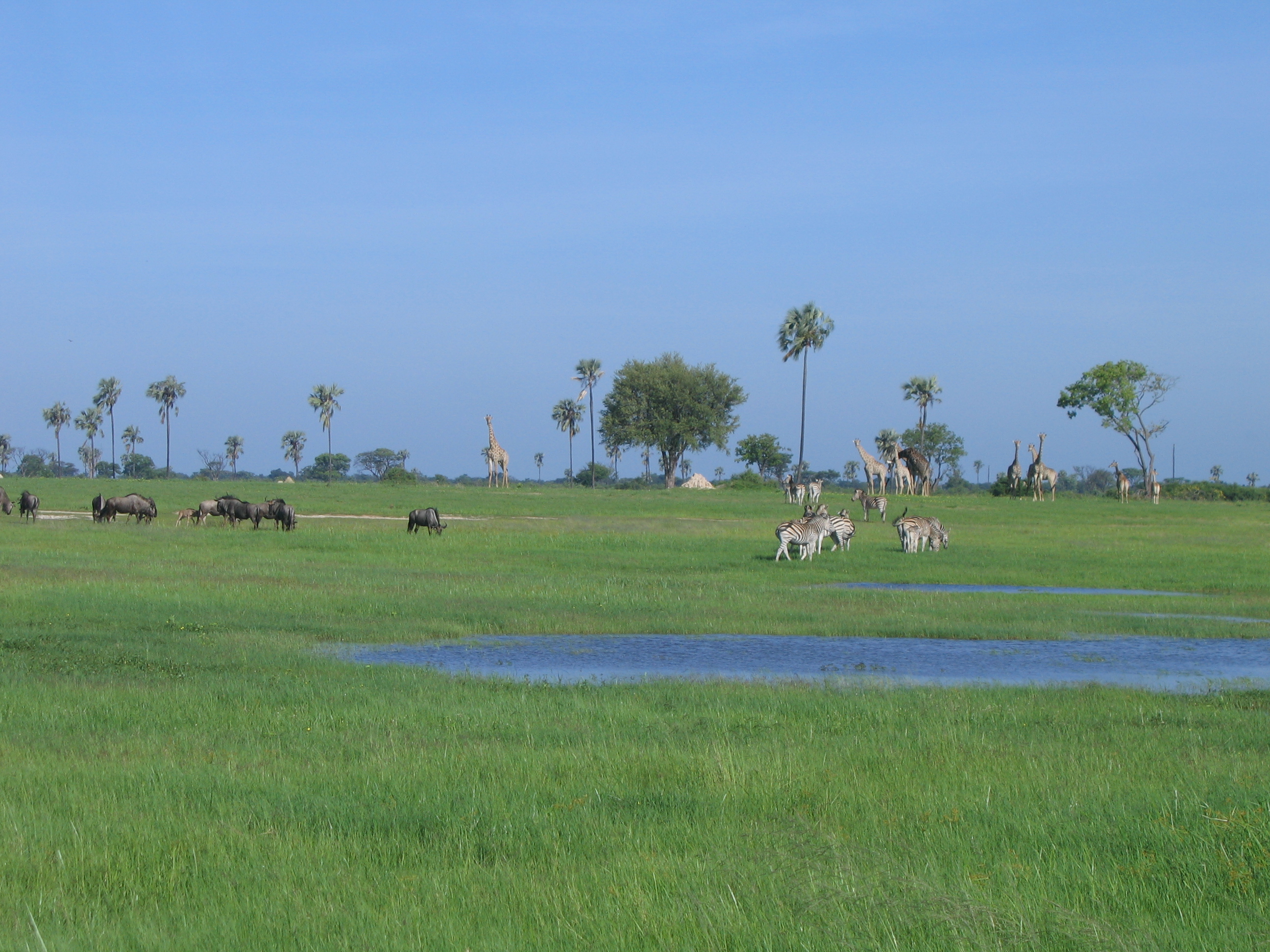 Zimbabwe Landscape