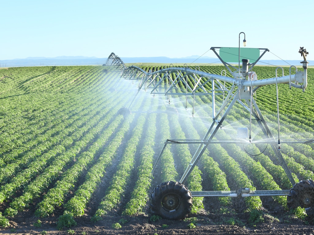 Agriculture